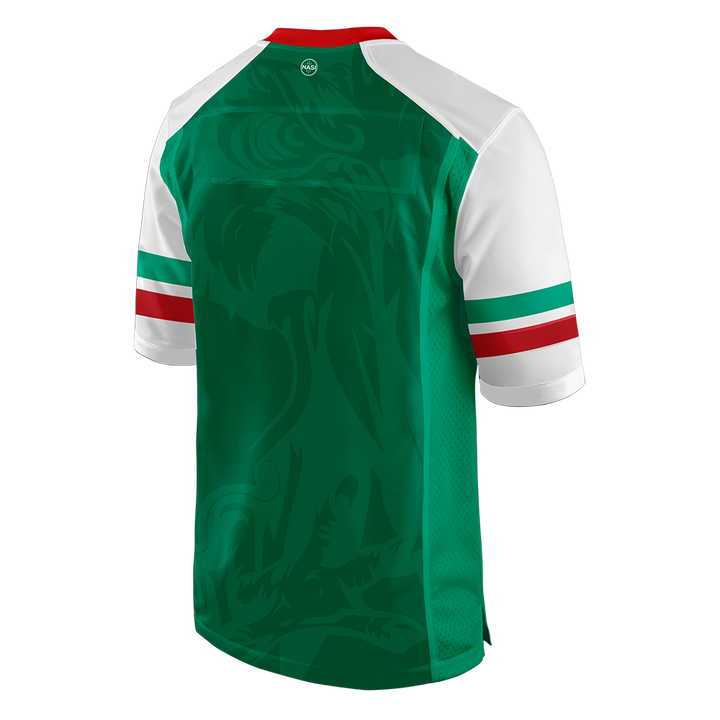 Palestine "Pride" Jersey