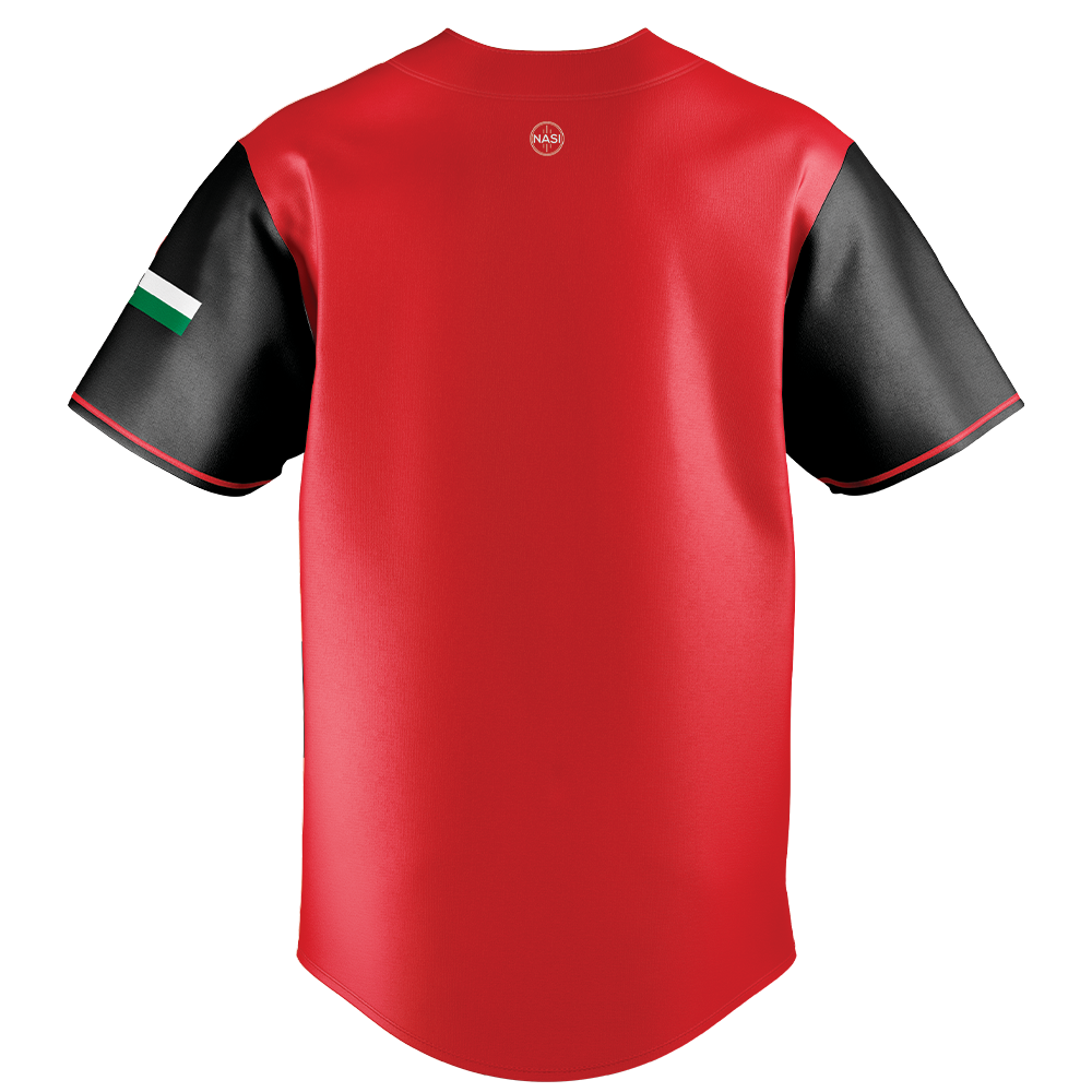 Palestine "Resilience" Jersey