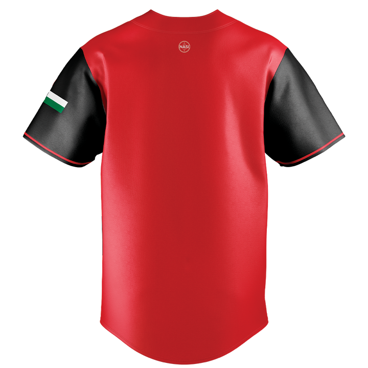 Palestine "Resilience" Jersey
